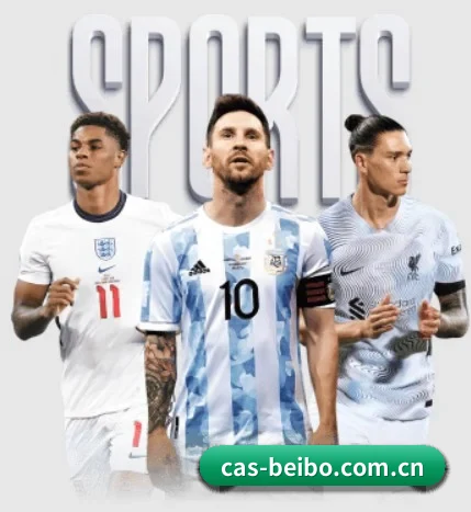 cas-beibo.com.cn的方向